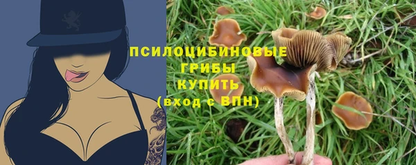 трава Горняк
