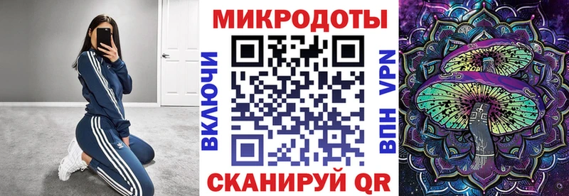 Псилоцибиновые грибы мицелий Далматово