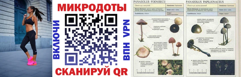Галлюциногенные грибы прущие грибы Далматово